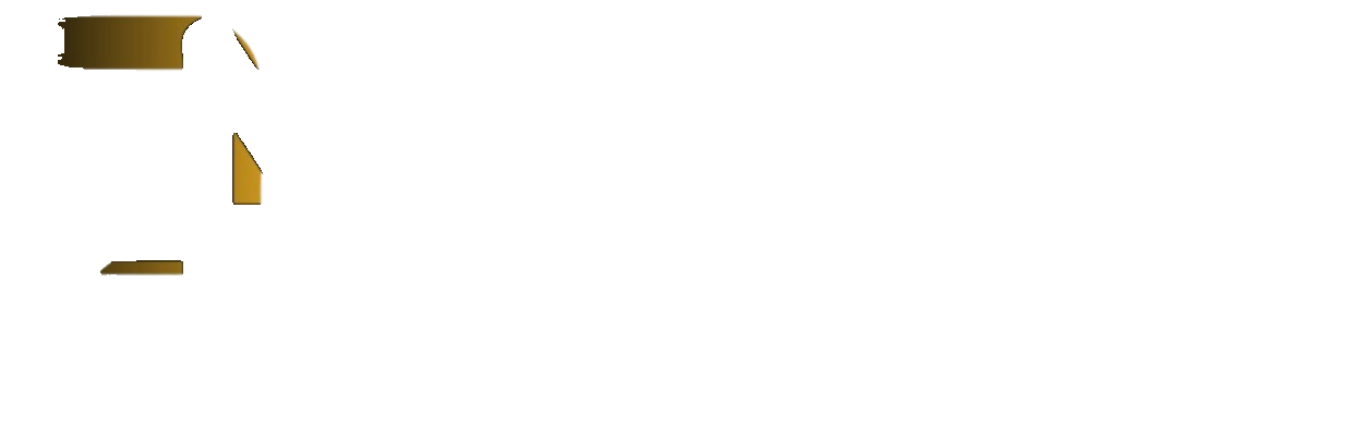 Pro4